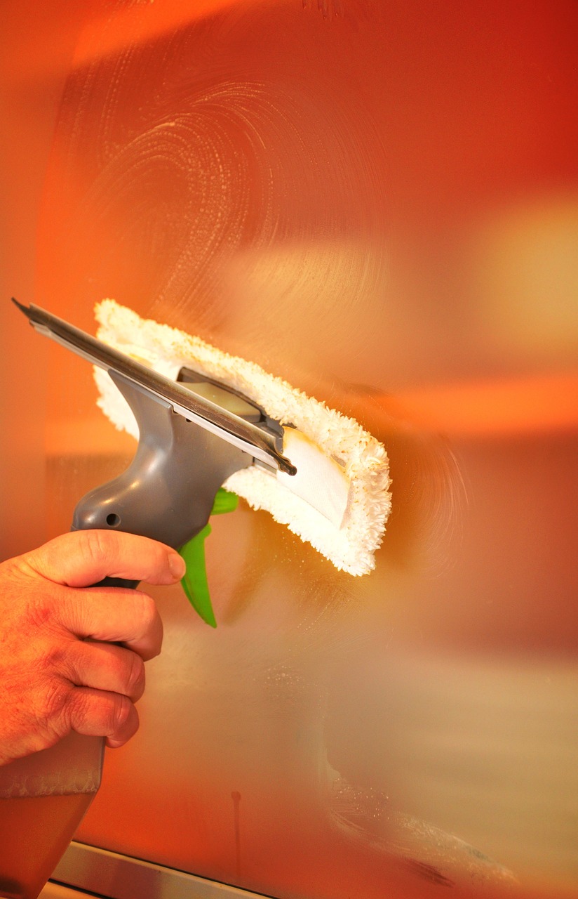 glass, to clean, clean, water, to wipe, window, building, window cleaning, job, window cleaner, to wash, service, cleanser, hand, cleanliness, cleaning products, household, hygiene, house cleaning, nature, hands
